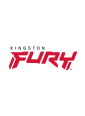 KINGSTON FURY